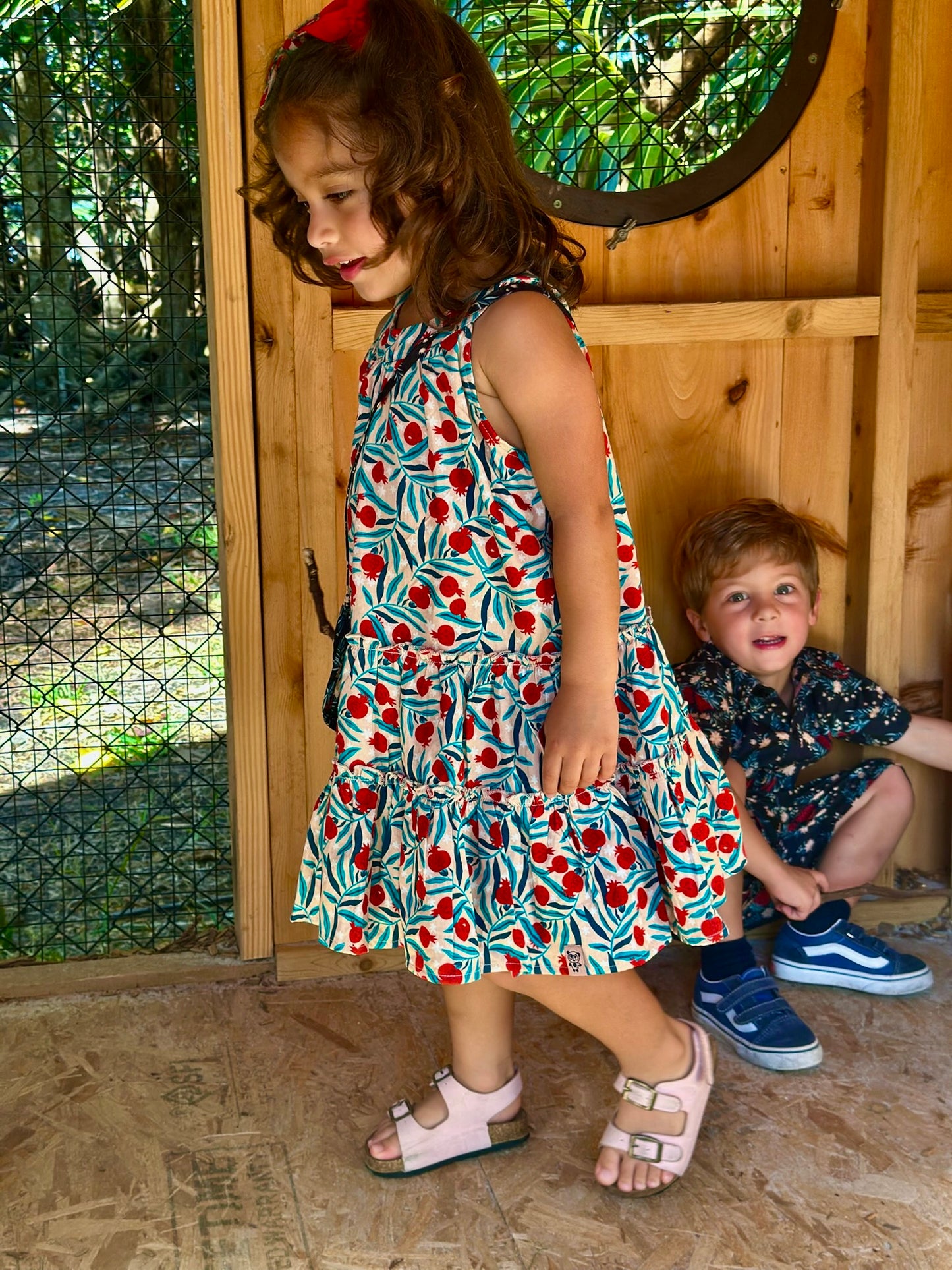 Iris dress in pomegranate