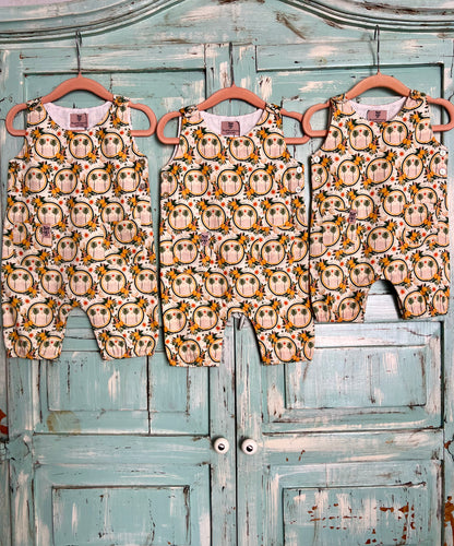 Three baby rompers with owl pattern on hangers against a rustic wooden door.